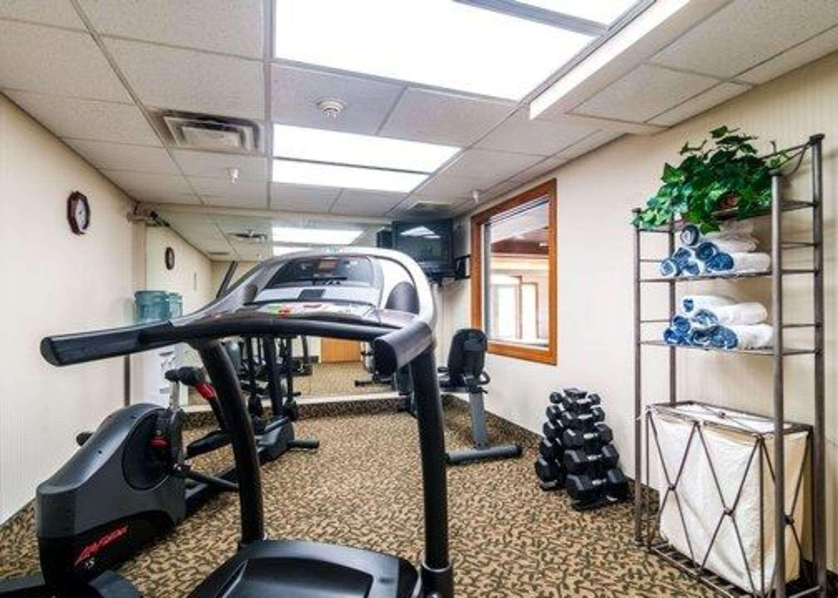 Comfort Inn & Suites Geneva- West Chicago Buitenkant foto